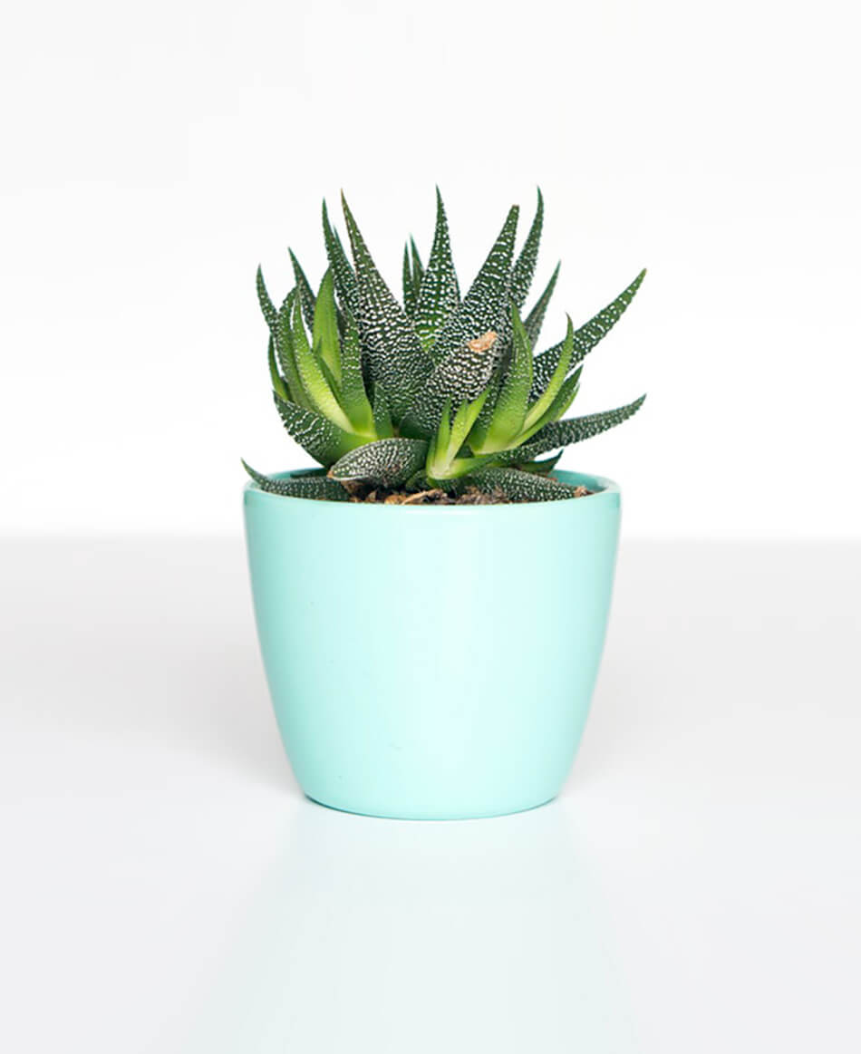 Finansal Okur Yazarlık